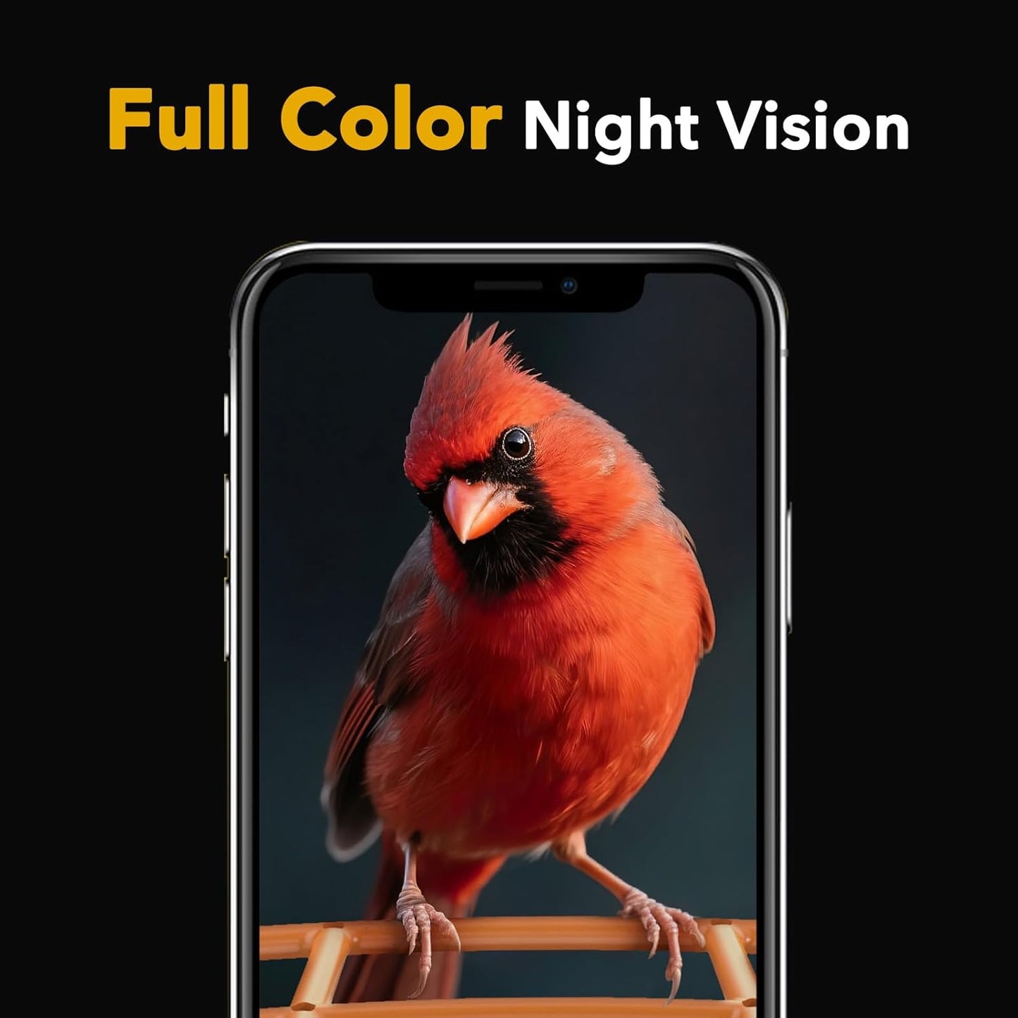 PeckCam® Bird Feeder with Camera - 4MP 2K Live AI Bird Species Identification Instant Arrival Alerts - Smart Cameras Birds Feeders Solar Powered Birdwatching Gift for Birdlover Mom Dad, 2.4GHz WiFi