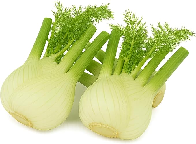 Herb Seedlings: Ready-to-Plant Seedlings, Starts, Plugs, Garden-Ready, Live Plants, Transplants, Pre-sprouted, for Soil & Hydroponic Gardens (Large (60 seedlings))