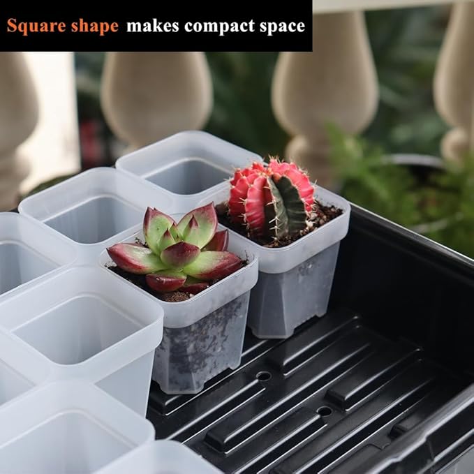 BangQiao 100 Pack 2.55 Inch Small Clear Plastic Square Nursery and Seedling Pot with Drain Hole for Germination, Cactus, Herb, Succulent