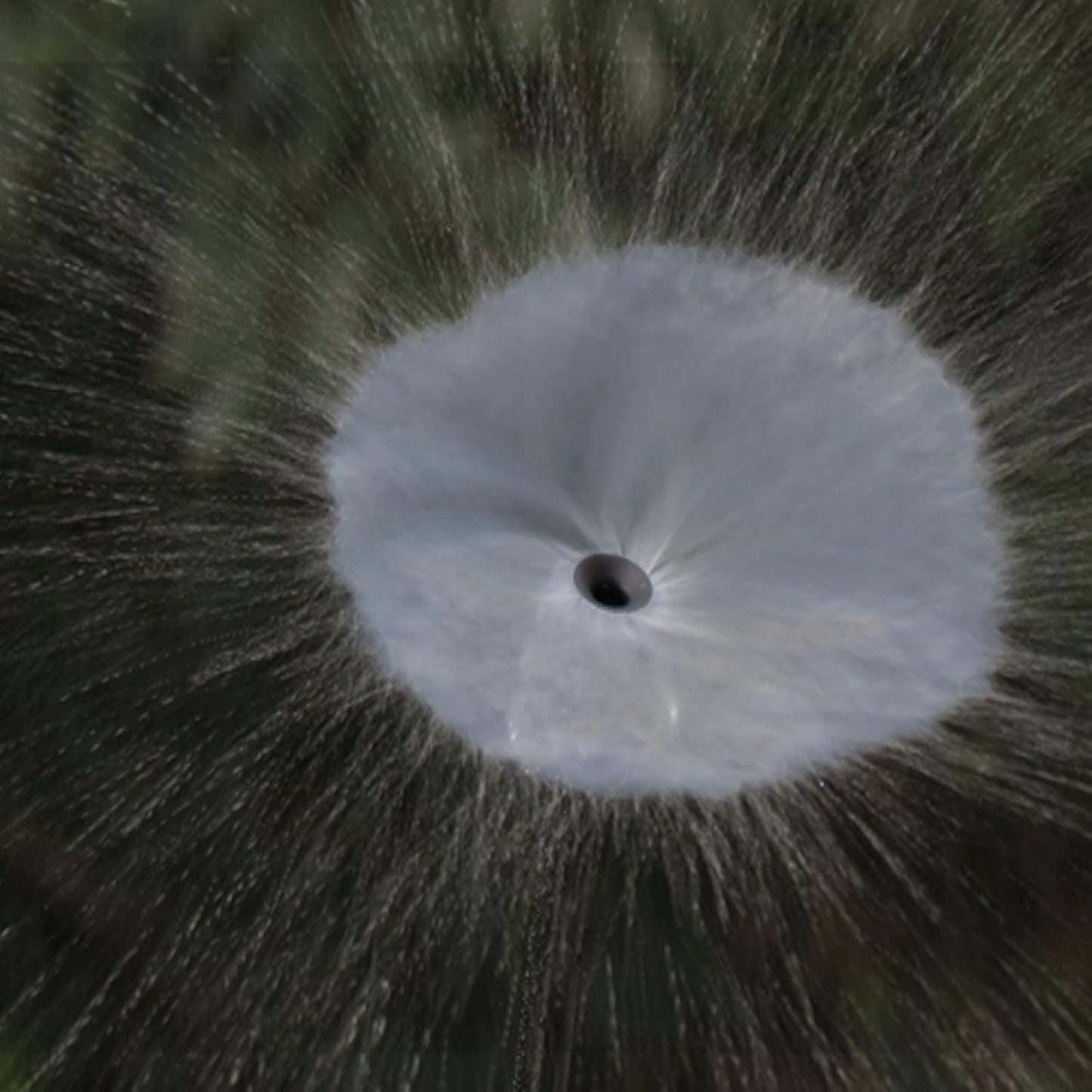 Lxcom Lighting 100 Pcs Irrigation Drippers Adjustable Drip Emitter Micro Spray 360 Degree Full Circle Pattern Water Flow Irrigation Drippers Sprinkler Drip Watering System Parts Drip Irrigation(Black)