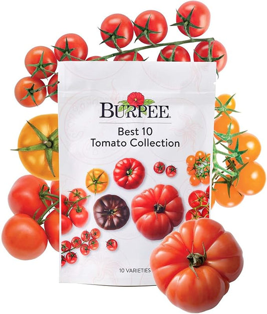 Burpee Best 10 Non-GMO Planting Tomato Seeds for Garden Gifts (1 Pack)