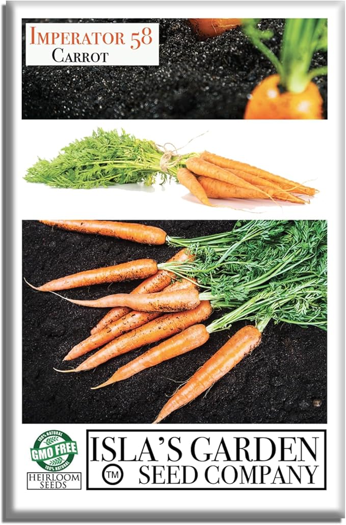 Imperator 58 Carrot Seeds (Daucus carota) โ 500+ Non-GMO & Heirloom Seeds, Long and Sweet Carrots for Juicing, Fresh Eating, and Cooking, by Islaโs Garden Seeds, Great Gardening Gift