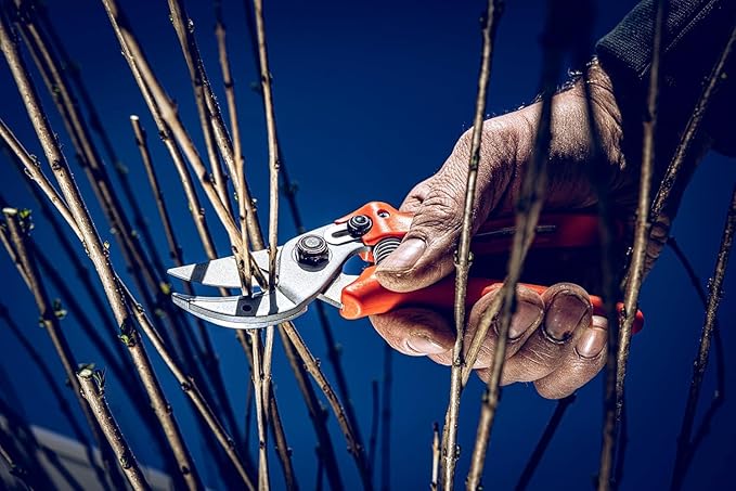 Original LÖWE 15 Anvil Pruning Shears 15.107 with Bypass Geometry for Small to Medium Hands - Curved, Non-Stick Coated Blade Ideal for Cutting Hard Wood like Linden, Spruce, Larch, and Oak