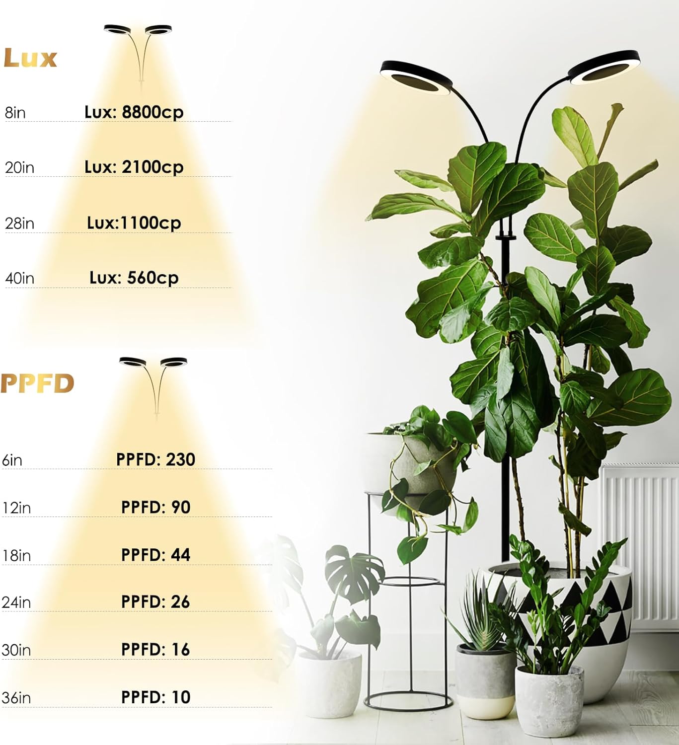 GLOWRIUM Grow Light with Stand,2-Head LED Plant Light for Indoor Plants, Full Spectrum Grow Lamp, 3/9/12H Timer, 6 Dimmable Levels, 3 Lighting Mode, Adjustable Height