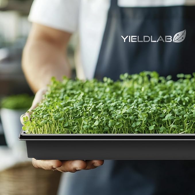 10x20 Inch Black Plastic 100 Pack Plant Propagation Tray – Growing Trays for Garden, Planting, Seedling, Soil & Hydroponic Horticulture - Microgreen Trays Grow Plants - No Drain Holes