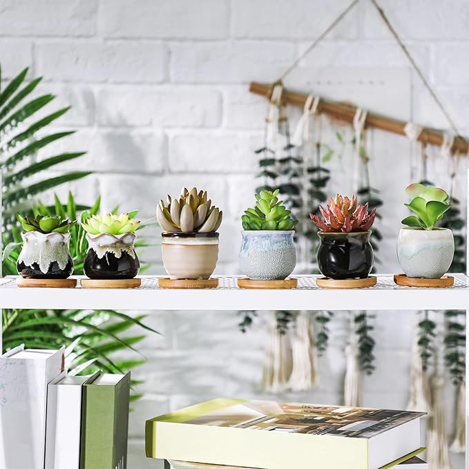 Remerry 24 Pcs Small Succulent Pots Bulk with Drainage Assorted 2.5 Inch Mini Ceramic Succulent Planters Pot with Coaster Bamboo Plant Tray Planting Pots for Home Office Garden (Rich Color)