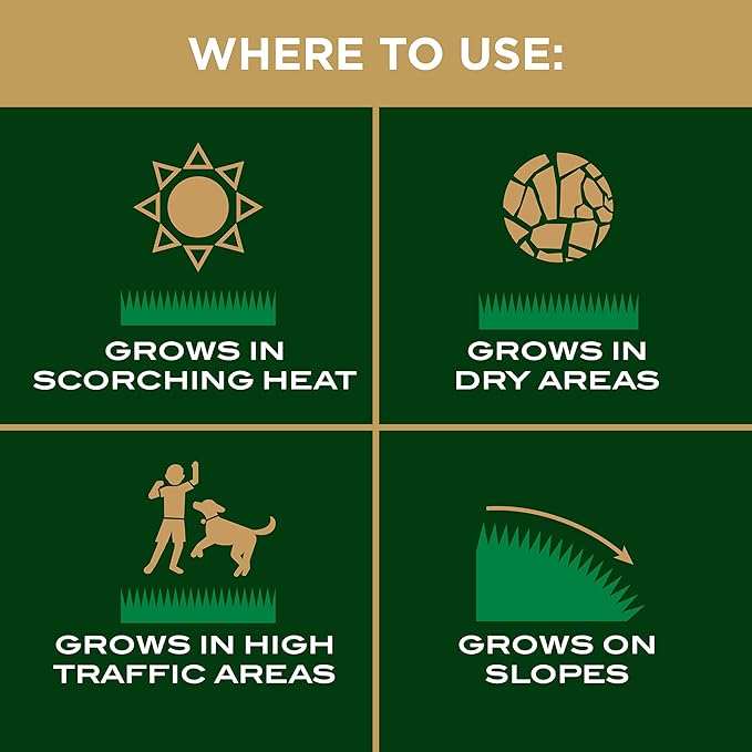 Scotts EZ Seed Patch & Repair Tall Fescue Lawns Combination Mulch, Grass Seed and Fertilizer for Bare Spots and Repair, Grows Anywhere, 3.75 lb.