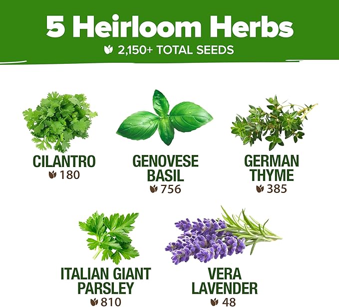 HOME GROWN 5 Herb Seeds for Planting 2,150+ Non-GMO Heirloom Seeds | Extra Large Variety Pack Herb Kit โ Indoor Outdoor & Hydroponic | Culinary Seed Set | Grow Your Own Herbs | Gift for Beginners