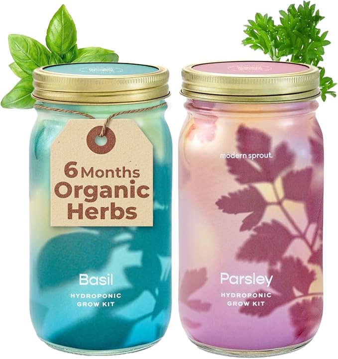 Modern Sprout Mason Garden Jar - Self-Watering Hydroponics Growing System Kit with Organic Herb Seeds - Jar Planter for Indoor Herb Garden - Seed Starter Kit - Home Decor & Gifting - Basil+Parsley
