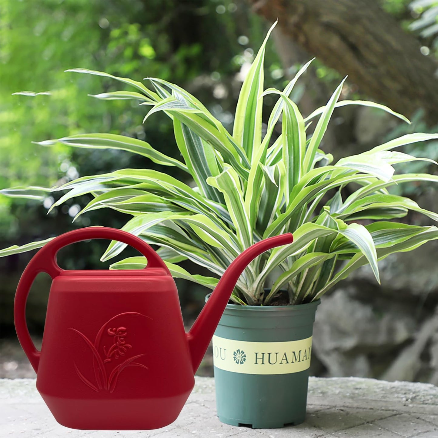 Watering Can for Indoor and Outdoor Plant - 1/2 Gallon - Wine Red