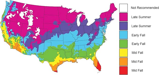 Seeds of Science Pro Brassica Blend (2)