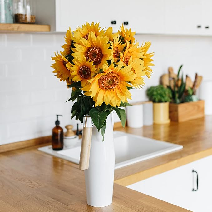 Back to The Roots 100% Organic Heirloom Seeds - Mammoth Giant Sunflower Value Pack (4.8g)