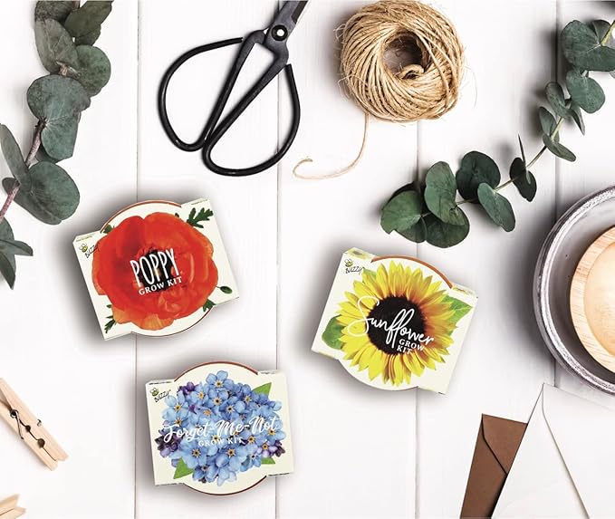 BUZZY Seeds Mini Terracotta Grow Pots Daydream Collection, Assorted 6-Pack Flower and Plant Seed Starter Kit for Kids and Adults, Indoor Gardening Gift, Holiday Present, Stocking Stuffer