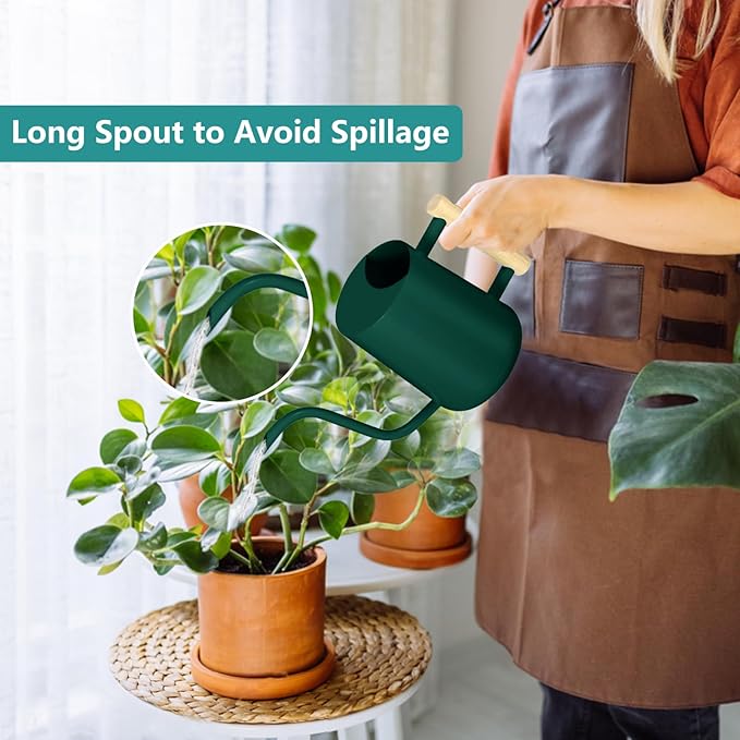 Watering Can Indoor Plants, 35oz Small Indoor Stainless Steel Metal Watering Can Modern Decorative Watering Pot with Long Spout for Indoor House Plant Bonsai Garden Flowers (Alpinegreen)