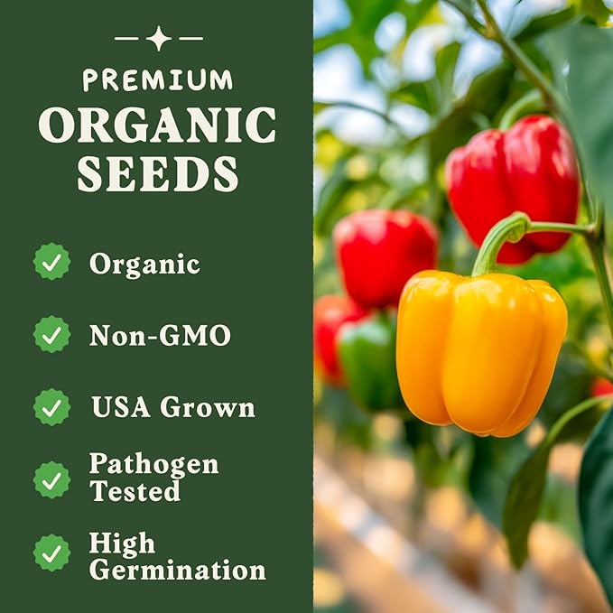 Seedboy Organic Bell Pepper Seeds for Planting Indoor and Outdoor, Non-GMO and USDA Certified Vegetable Seed Packet for Hydroponic Garden Indoor or Planting Outdoors (Bell Peppers)