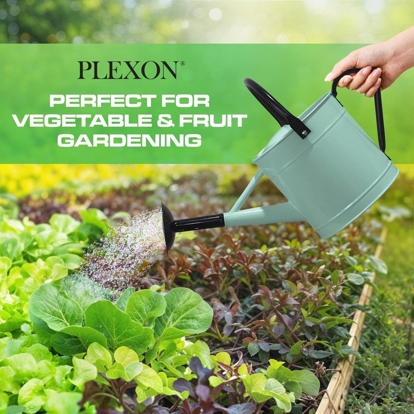 Plexon 1 Gallon Metal Watering Can Outdoor, Flower Plant Gardening Garden Large Watering Can Pot, Black Galvanized Steel Handles and Removable Spray Spout, Aqua Mist Blue