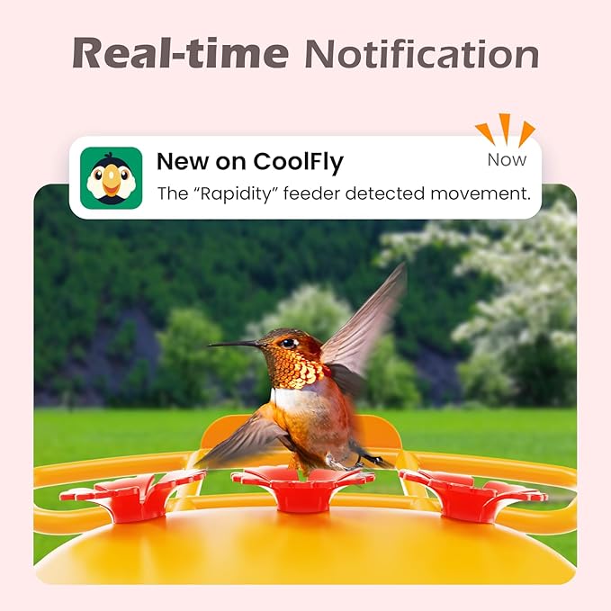 Smart Hummingbird Feeder with Camera Solar Powered, AI Identify, Instant Notification, Leakproof & Ant Moat Bird Feeder with Camera, Hummingbird Feeders for Outdoors, Gift for Bird Lovers (20 oz)