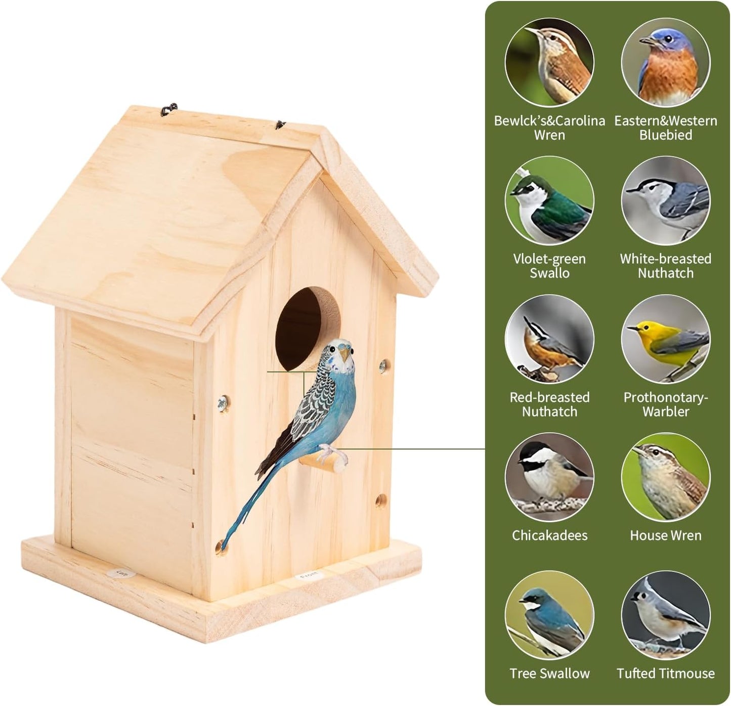 HPC Decor 2 Pack Bird Houses for Outside w/Chain,Natural Wooden Birdhouses Kit for Outdoors w/Predator Guard,Hanging DIY Bird House Kit & Woodworking Adult Crafts,Hummingbird,Birdhouse Kits for Kids