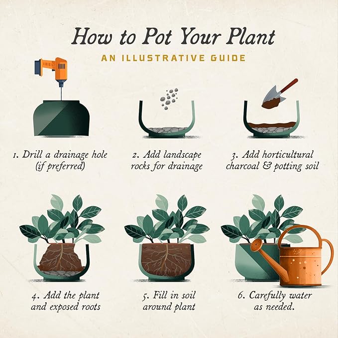 ARBORA 21" Santorini Bowl 2-Pack with Stone Blend Concrete Gray Finish - Polyresin Indoor and Outdoor Planters, Durable, Weatherproof, Lightweight, Large Plant Pots for Patio, Garden, Deck, Entryway