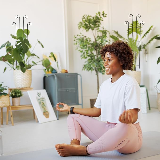 Coomin 32.6in Monstera Plant Support Stakes for Outdoor Plants, Garden Trellis for Climbing Plants, Metal Stakes for Potted Plants Pothos Plant Climber Support, 4P