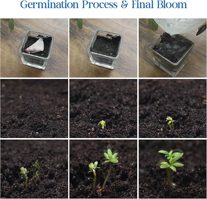 Baby Bottle Shaped Seed Paper – 5 Blue Baby Shower Favors for Guests with Wildflower Seeds, Writable & Plantable, Gender Reveal, Birthday Gifts for Guest