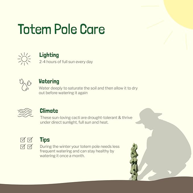 Cactus Outlet - Totem Pole Live Cactus, Cactus Plants Live, Live Plants Indoor & Outdoor Use 12-18” - Rare Large Live Cactus - Landscape Ready Large Cactus Plant Live Delivered Right to Your Door