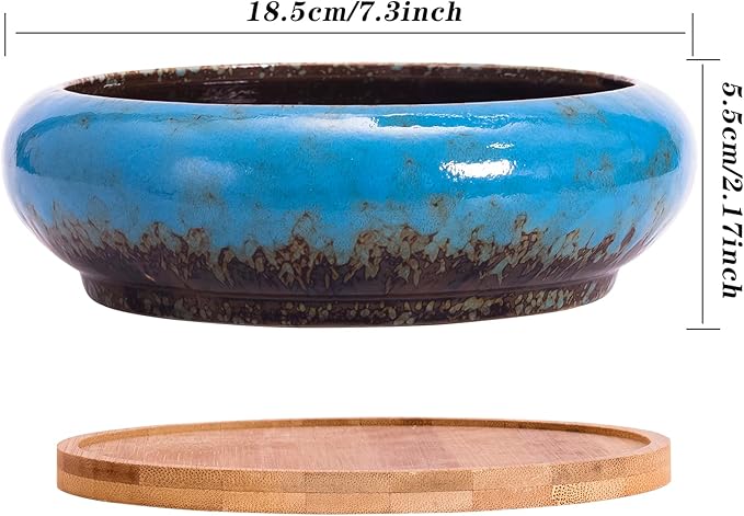 ARTKETTY Succulent Pots - 7.3 Inch Large Succulent Planters with Drainage Ceramic Bonsai Pots with Bamboo Tray, Shallow Planters for Indoor Cactus Plants Decorative Flower Plant Container