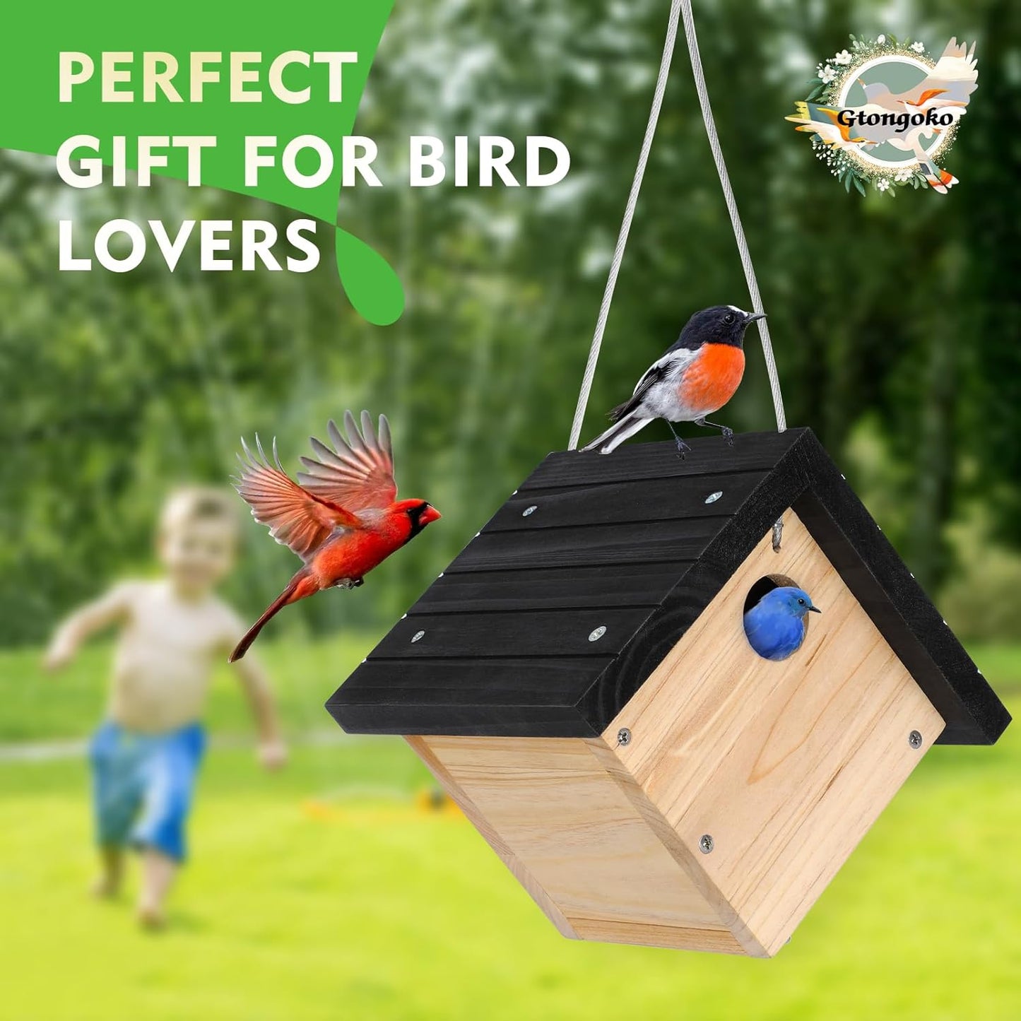 Gtongoko Hanging Wren Bird Houses for Outside, Cedar Wooden Bird Houses for Outdoors, Bird Nest with Air Vents, 1-1/8‘’ Entrance Hole, Clean Door for Wildbird Watching, 1 Pack Black