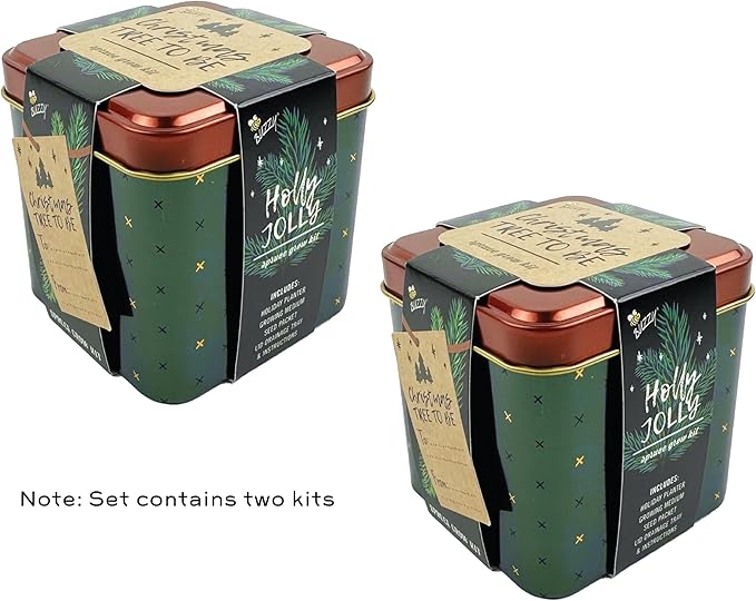 BUZZY Seeds Holiday Spruce Square Tin Grow Kit 2-Pack – Indoor Mini Spruce Tree Starter Kit for Plant Lovers – DIY Gardening, Stocking Stuffers, Party Favors, and Classroom Projects