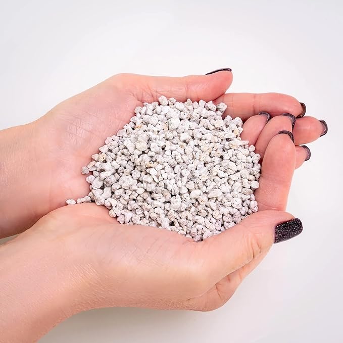 Gardenera Organic Perlite โ Medium/Fine Grade Horticultural Soil Amendment for Indoor & Outdoor Container Plants for Drainage Management and Enhanced Growth (2 Quart)