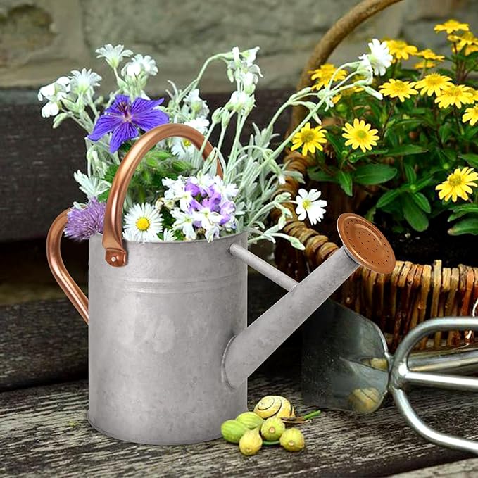 Metal Watering Can with Removable Spout, Galvanized, Perfect for Indoor and Outdoor Use (1 Gallon, Yellow)