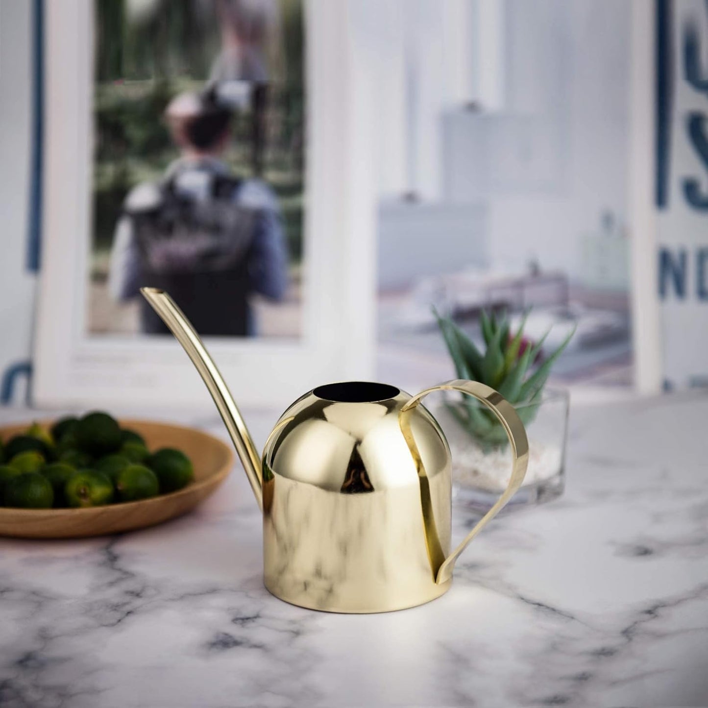IMEEA Gold Watering Can for Indoor Plants, Orchid, Bonsai - Stainless Steel With Long Spout for House, Desk, Office - 15oz/450ml