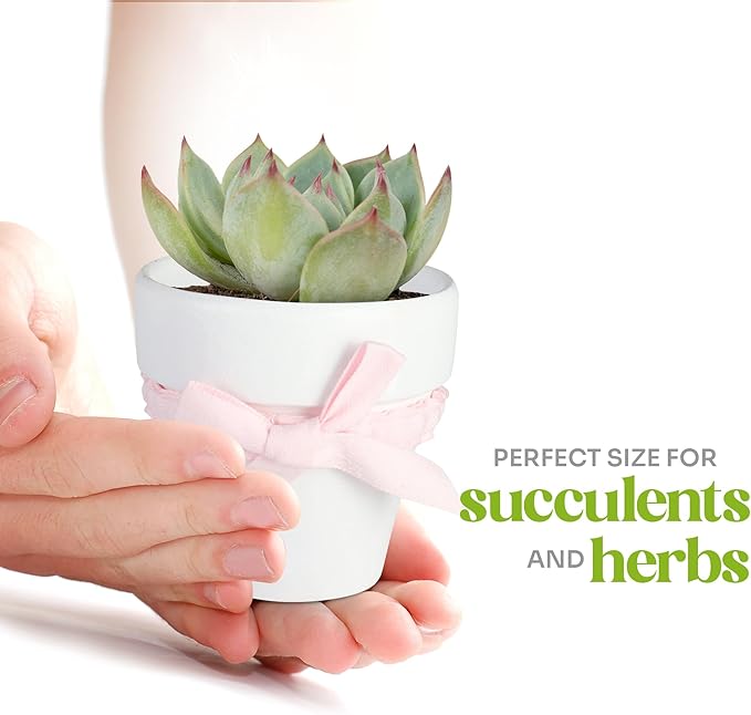 Set of 6 Seed Paper – 6 Pink Butterflies & 6 White Pots with Bow for Baby Shower, Gender Reveal, Birthday, & Other Milestone Celebrations