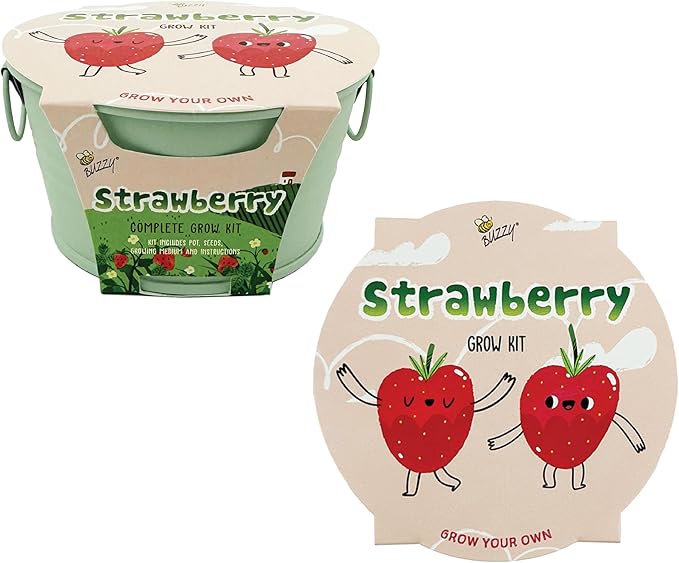 BUZZY Seeds Sage Green Painted Basin Strawberry Grow Kit, Indoor Fruit Plant Starter for Kids and Adults, Fun DIY Gardening Gift, Grow Your Own Snack, Party Favor or Holiday Present