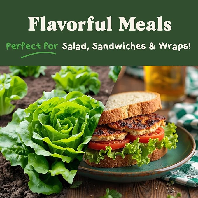 Seedboy Organic Lettuce Seeds for Planting Indoor and Outdoor, Non-GMO and USDA Certified Vegetable Seed Packet for Hydroponic Garden Indoor or Planting Outdoors (Buttercrunch Lettuce)