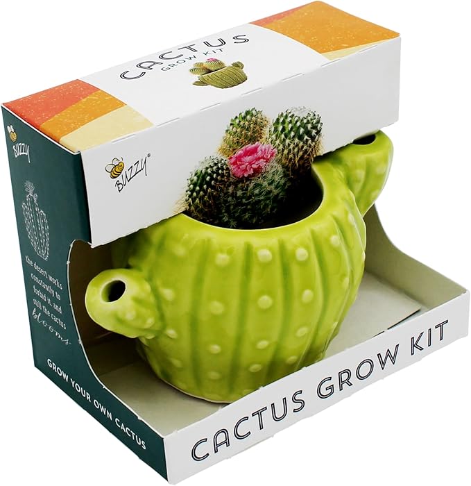 BUZZY Seeds 4pk Mini Cactus Grow Kit with Ceramic Planter, Succulent Seeds, Growing Medium, Easy Instructions, Indoor Gardening Gift for Beginners, Birthdays, Housewarming and Home or Office Décor