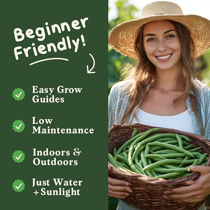 Seedboy Organic Green Bean Seeds for Planting Indoor and Outdoor, Non-GMO and USDA Certified Vegetable Seed Packet for Hydroponic Garden Indoor or Planting Outdoors (Provider Green Beans)