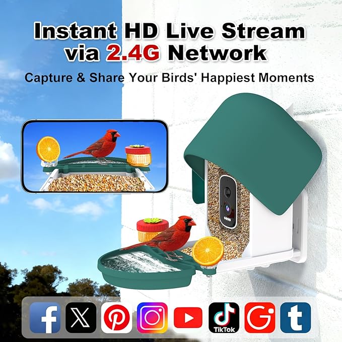 Bird Feeder Camera with 4K HD, App Alerts & Two-Way Audio, Solar Panel, 32GB Card 4-in-1 Perch, 160° View, Auto Detect & AI Identify - Wireless Outdoors Weatherproof Design (Light Green)