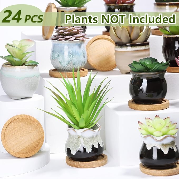 Remerry 24 Pcs Small Succulent Pots Bulk with Drainage Assorted 2.5 Inch Mini Ceramic Succulent Planters Pot with Coaster Bamboo Plant Tray Planting Pots for Home Office Garden (Rich Color)