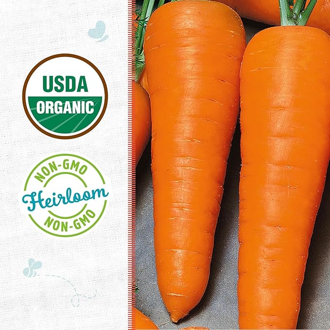 Back to The Roots 100% Organic Heirloom Seeds - Red Carrot Value Pack (840mg Total)