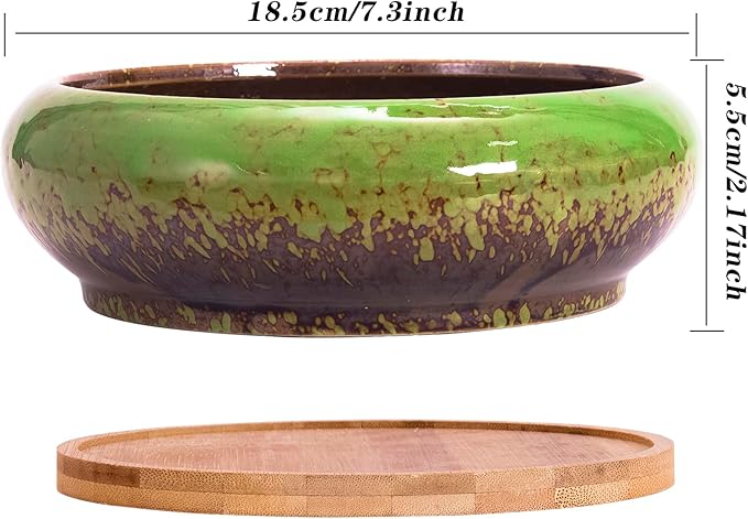ARTKETTY Succulent Pots - 2 PCS Large Bonsai Pots with Drainage Tray, 7.3 Inch Shallow Planters for Indoor Plants Ceramic Cactus Plant Container Bowl for Home Office Desk