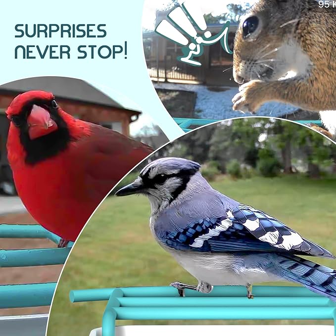 Bird Feeder with Camera-2K HD & Full Color Night Vision, Free AI Forever for 1,1000+ Species Identification, Solar Powered Wireless Outdoor, Includes 64GB TF Card, Two-Way Audio, App Alerts