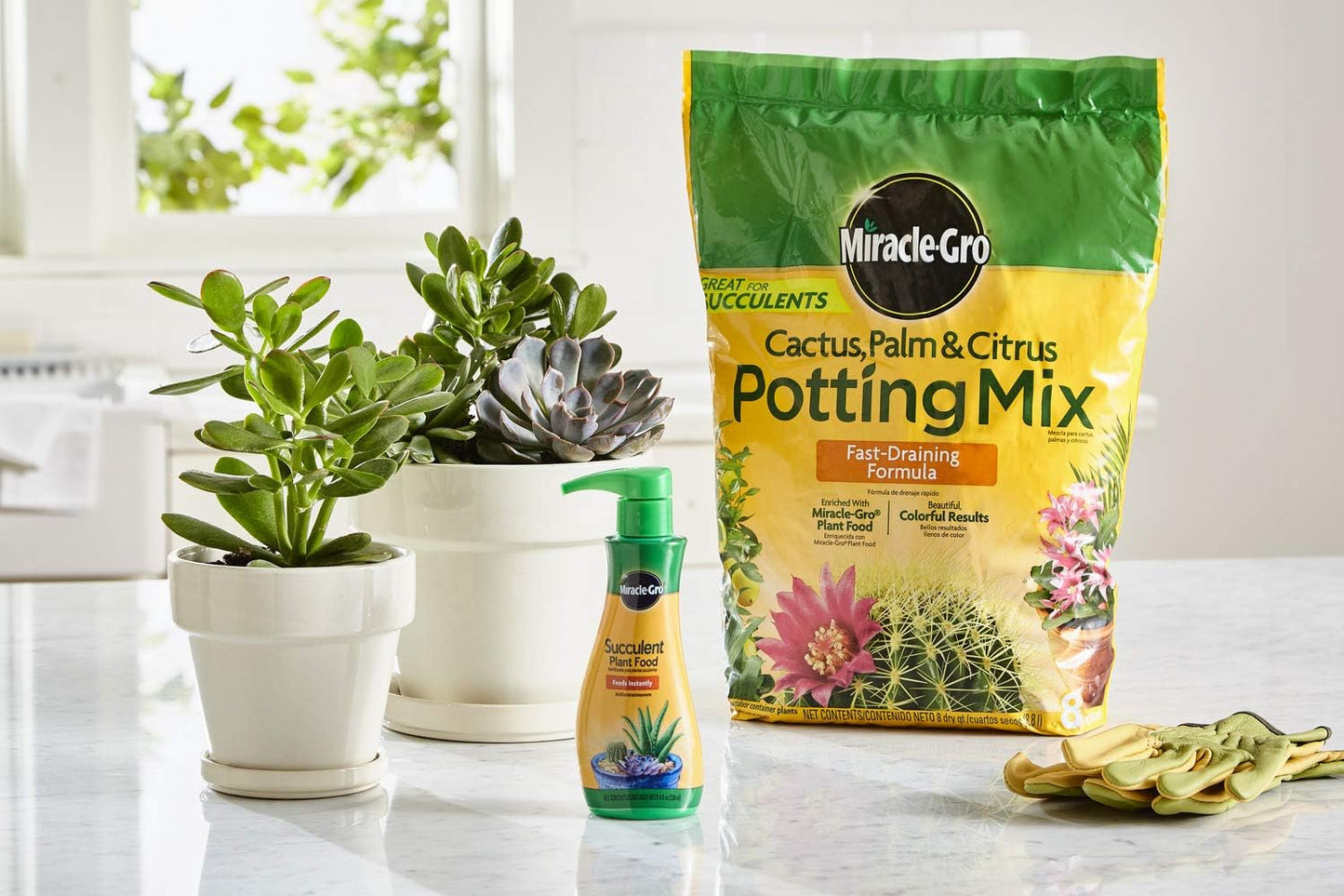 Miracle-Gro Cactus, Palm & Citrus Potting Mix and Succulent Plant Food - Bundle of Potting Soil (8 qt.) and Liquid Plant Food (8 oz.) for Growing and Fertilizing Indoor Succulents