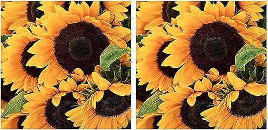 Giant Sunflower Seeds - Mammoth Grey Striped Seeds - Attracts Bees and Butterflies (Pack of 2)