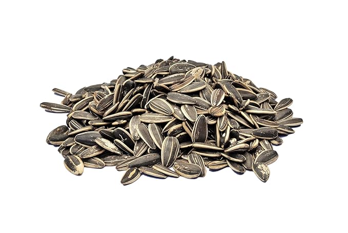 Striped Sunflower Seed 10 Pounds