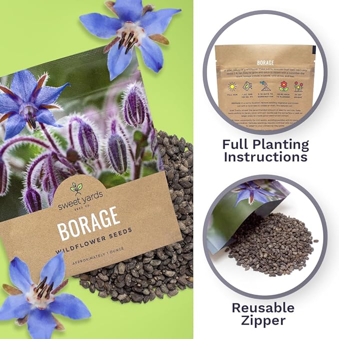 Borage Seeds – Extra Large Packet – Over 1,200 Open Pollinated Non-GMO Wildflower Seeds – Borago officianalis