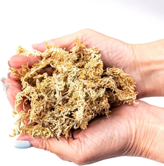 Premium New Zealand Sphagnum Moss by Gardenera - Organic Hand Mixed Long Fibered Sphagnum Moss Orchid - 2 Quart