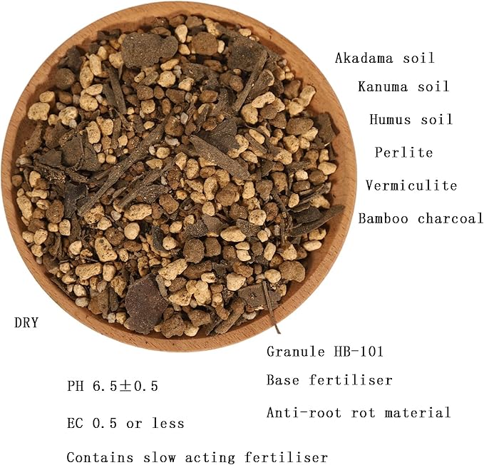 Cactus Succulent Aloe Vera Organic Potting Soil Mix (6 L) - Highly draining granular Soil,peat-Free (Made in Japan)