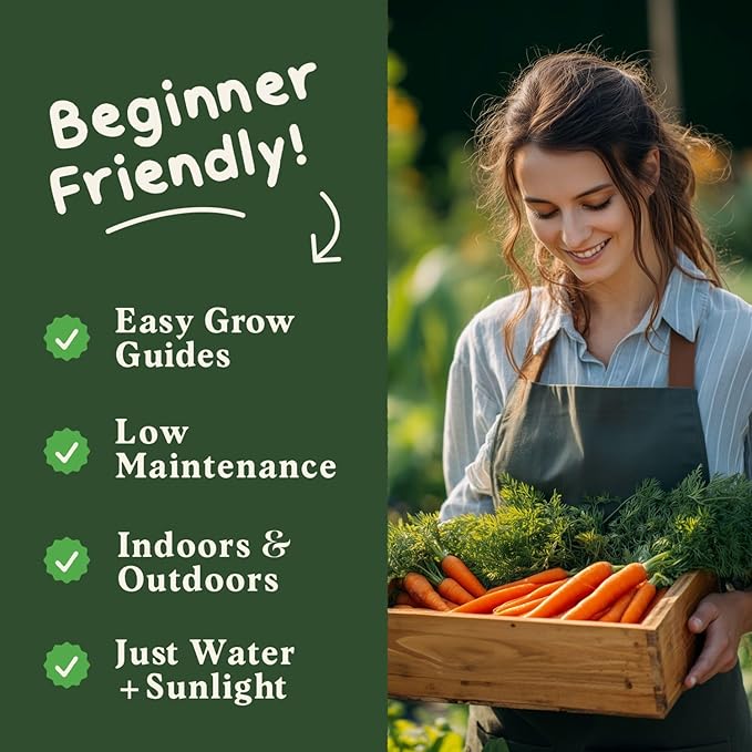 Seedboy Organic Carrot Seeds for Planting Indoor and Outdoor, Non-GMO and USDA Certified Vegetable Seed Packet for Hydroponic Garden Indoor or Planting Outdoors (Scarlet Nantes Carrots)