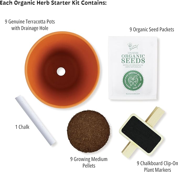 BUZZY Seeds 9 Pot Terracotta Grow Kit Organic Herb Seed Starter Set for Indoor Planting | Includes Seeds, Planting Pots, Soil and Plant Markers, Easy Gardening Gift, Kids Project, Gifts for Teachers